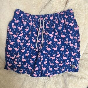 EUC Tom & Teddy Men’s Flamingo Medium Swim Trunks